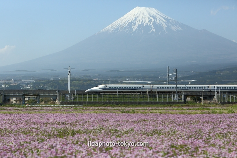 img20201029131031835705.jpg